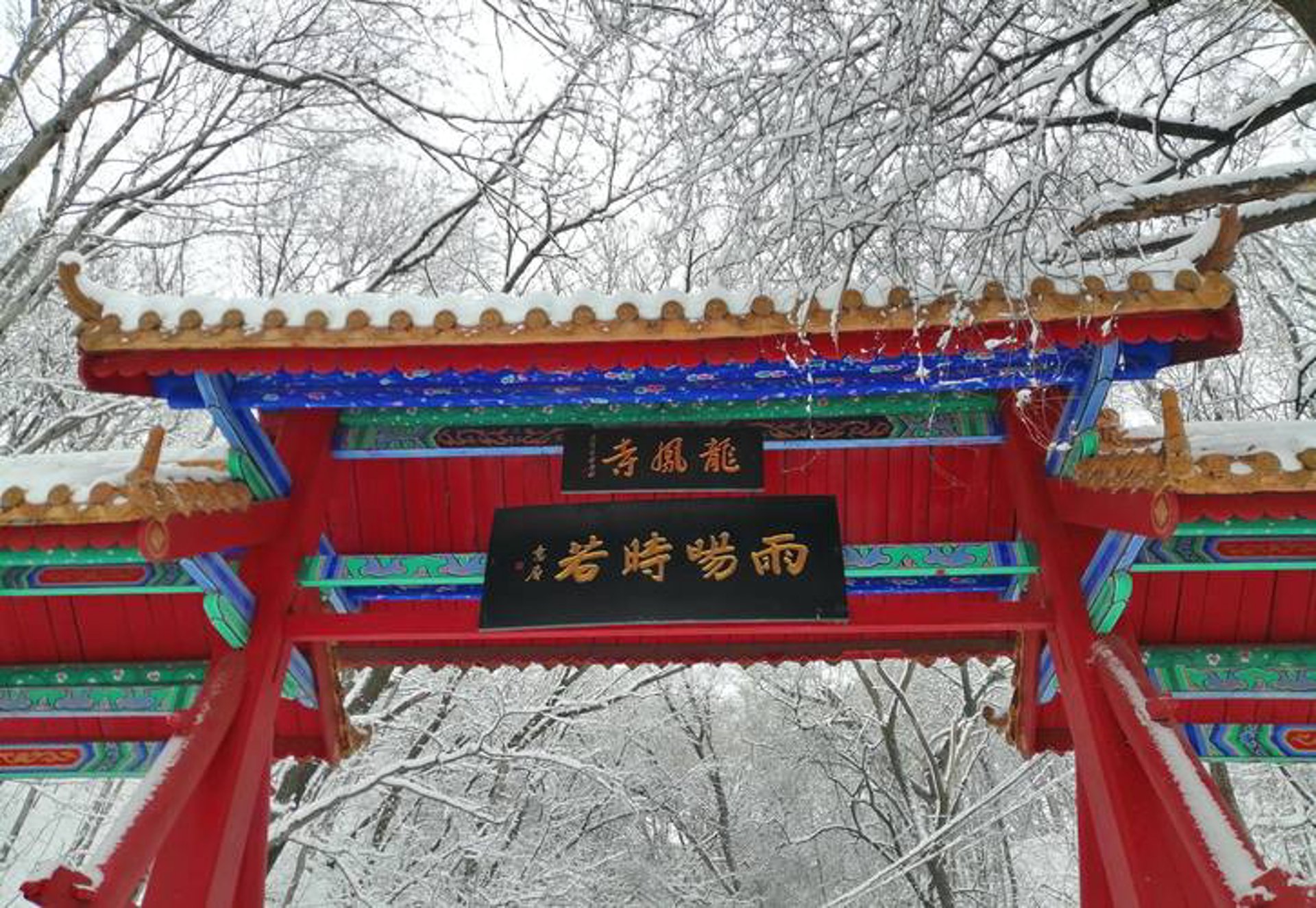 元台大东建筑